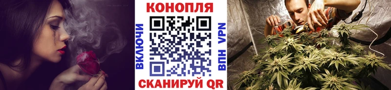 Марихуана Новая Ладога