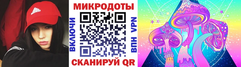 Псилоцибиновые грибы мухоморы  Новая Ладога 