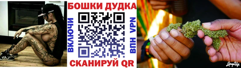 купить наркоту  МЕГА сайт  Бошки Шишки тримм  Новая Ладога 